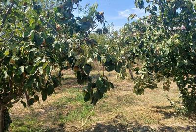 Vand casa in Sabareni - 5