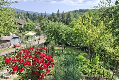 Casa 5 camere,util 112mp,beci,garaj,1200mp intravilan livada,Slanic - 1