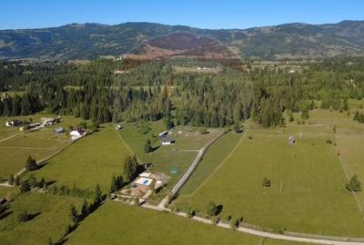 Teren Construcții intravilan de 19370 mp, în Neagra Șarului - 2