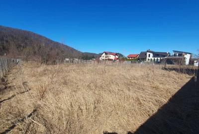 Spațiu comercial, în Timișu de Jos - 5