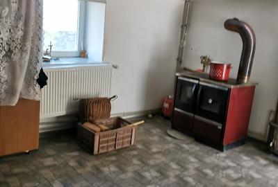 Casă individuală cu 3 camere cu Teren 4482 Mp în Hobița-Grădiște - 9