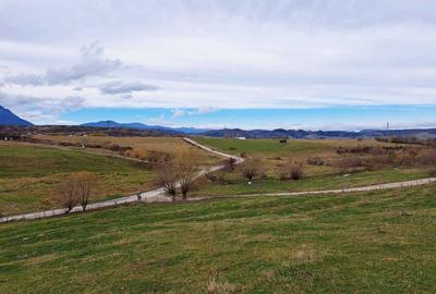 Spațiu comercial, în Central - 5