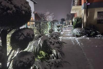 Casă cu 5 camere cu Teren 735 Mp în Vladimirescu - 2