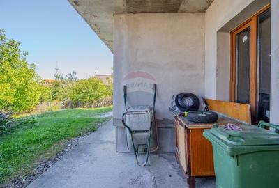 Casă individuală cu 8 camere cu Garaj în Colonia 1 Mai - 55