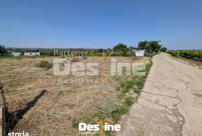 Teren de 974 mp, în Bucium - 4