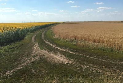 Spațiu comercial, în Biled - 3