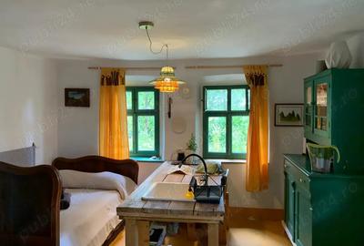 Investi?ie in natura > 2 case restaurate cu poten?ial de inchiriere si teren de 20.000 mp - 10