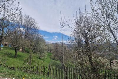 Teren de 2111 mp, în Ghioșești - 4