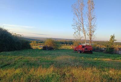 Casă cu 3 camere cu Teren 2600 Mp în Săldăbagiu de Munte - 3