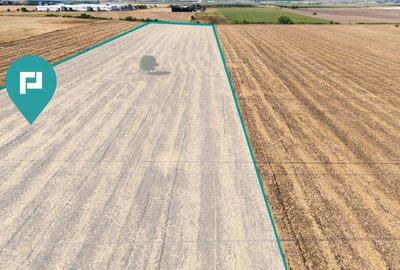 Teren extravilan, zona Freidorf-Sagului, Timisoara - 3