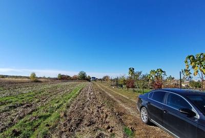 Corbeanca | Teren 800mp | Utilitati la 50m | Deschidere 32mp - 1