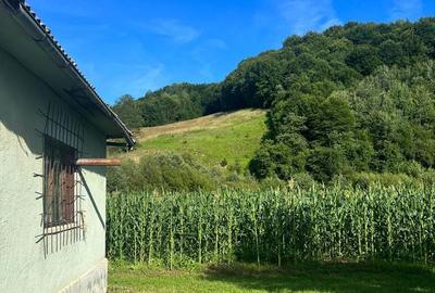 Casă cu 2 camere în Molișet - 6