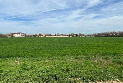 Teren de 24750 mp, în Pantelimon