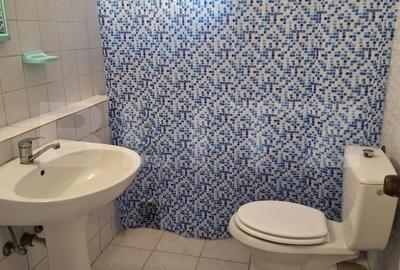 Vila mare, curte, 11 camere, 5 bai, mobilata, Cetatii/Timisoara - 14