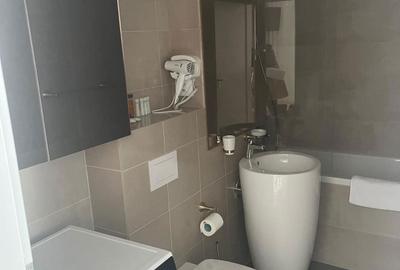 Apartament cu 2 camere decomandat în Viilor - 4