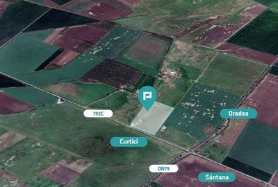 Teren de 105700 mp, în Șimand - 3