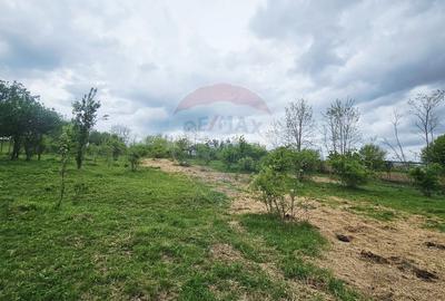 Teren Construcții intravilan de 5350 mp, în Dobreni - 15