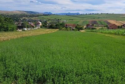 Teren de 1970 mp, în Tureni - 1