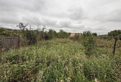 Teren Intravilan Comuna Voinesti - 1