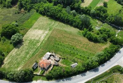 Teren de 10176 mp, în Mihăești - 7