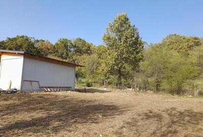 Teren de 1225 mp, în Băicoi - 1