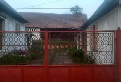 Vand casa in boarta - 2