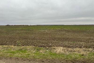 Teren de 15500 mp, în Tărtășești