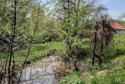 Casă cu 3 camere în Nojag - 1