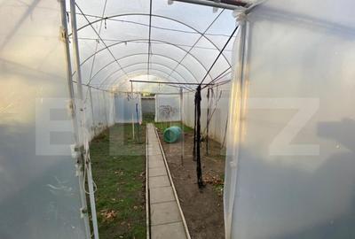 Casa individuala, 120 mp utili, 571mp teren, zona Sagului - 2