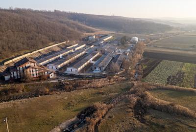 Spațiu industrial, de 50,000 mp, în Horgești - 6