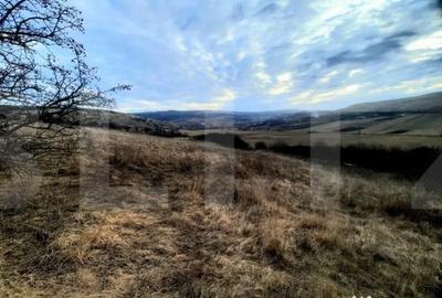 Teren de 2900 mp, în Sopor - 3