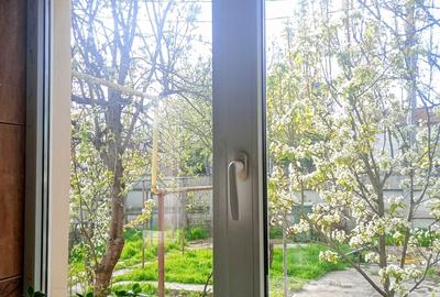 Casă cu 3 camere cu Teren 390 Mp în Jiului - 6
