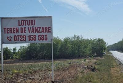 Teren de 5000 mp, în Pantelimon - 6