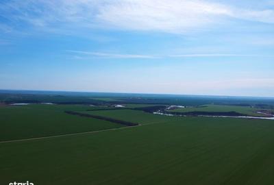 Spațiu comercial, în Frumușani - 3