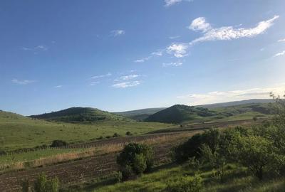 Teren de vanzare intravilan la intrare in Pata 800mp+200mp drum - 2