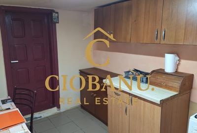 Casa de vanzare in Craiova zona Romanesti - 6