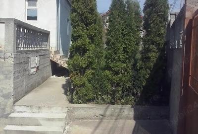 Casă în Berislăvești - 2