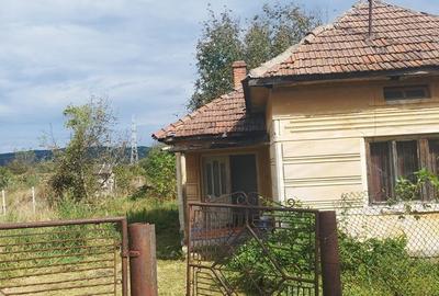 Casă cu 2 camere cu Teren 2000 Mp în Sântămăria-Orlea - 2