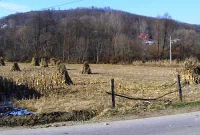 Vad 22000 mp INTRAVILAN BOGATI DJ702C jud Arges - 5