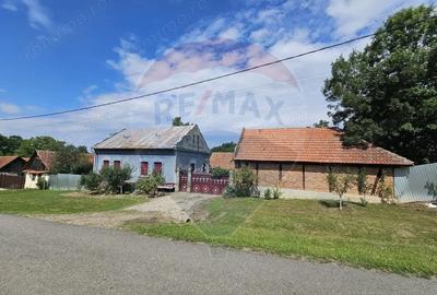 Casă cu Teren 4484 Mp în Fădimac - 4