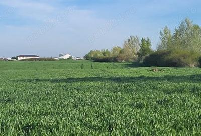 Teren de 630 mp, în Săcălaz