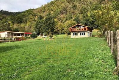 Casa de vacanta/pensiune cu teren de 3780mp | Clisura Dunarii - 7