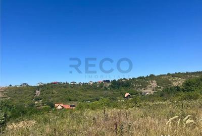 Teren de 4251 mp, în Dealuri Oradea - 12