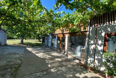 Casa individuala+atelier, pe un nivel - 2