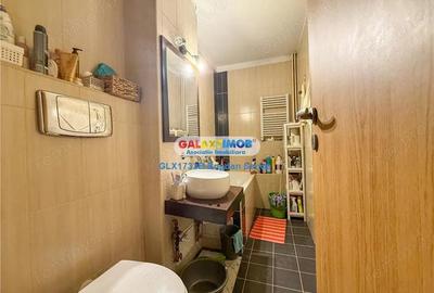 Garsoniera de vanzare spatioasa in Dristor - 6