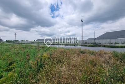 Teren agricol extravilan de 4000 mp, în Central - 6