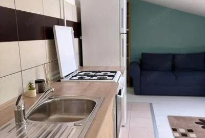 APARTAMENT 2 CAMERE, DECOMANDAT, BLOC NOU, TATARASI, MOBILAT SI UTILAT - 12