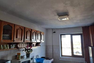 2 Hale+cantar 50 tone - 2