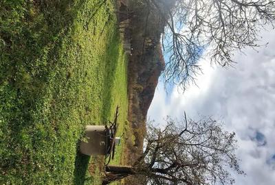 Casă cu 4 camere cu Teren 3100 Mp în Câmpuri - 6