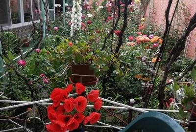 Duplex cu 5 camere cu Canalizare în Central - 2